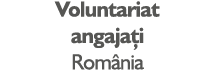 Voluntariat angajați România 