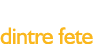 23,7% dintre fete