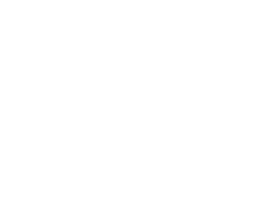  n anul 2021, Swedish Care International a organizat nt lniri de creare de conexiuni QSNA la distan   pentru bursier...