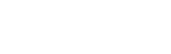 PROIECTE DE VOLUNTARIAT ALE ANGAJA ILOR N POLONIA