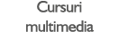 Cursuri multimedia