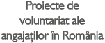Proiecte de voluntariat ale angaja ilor n Rom nia