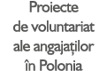 Proiecte de voluntariat ale angaja ilor n Polonia
