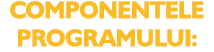 COMPONENTELE PROGRAMULUI: