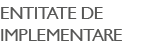 ENTITATE DE IMPLEMENTARE